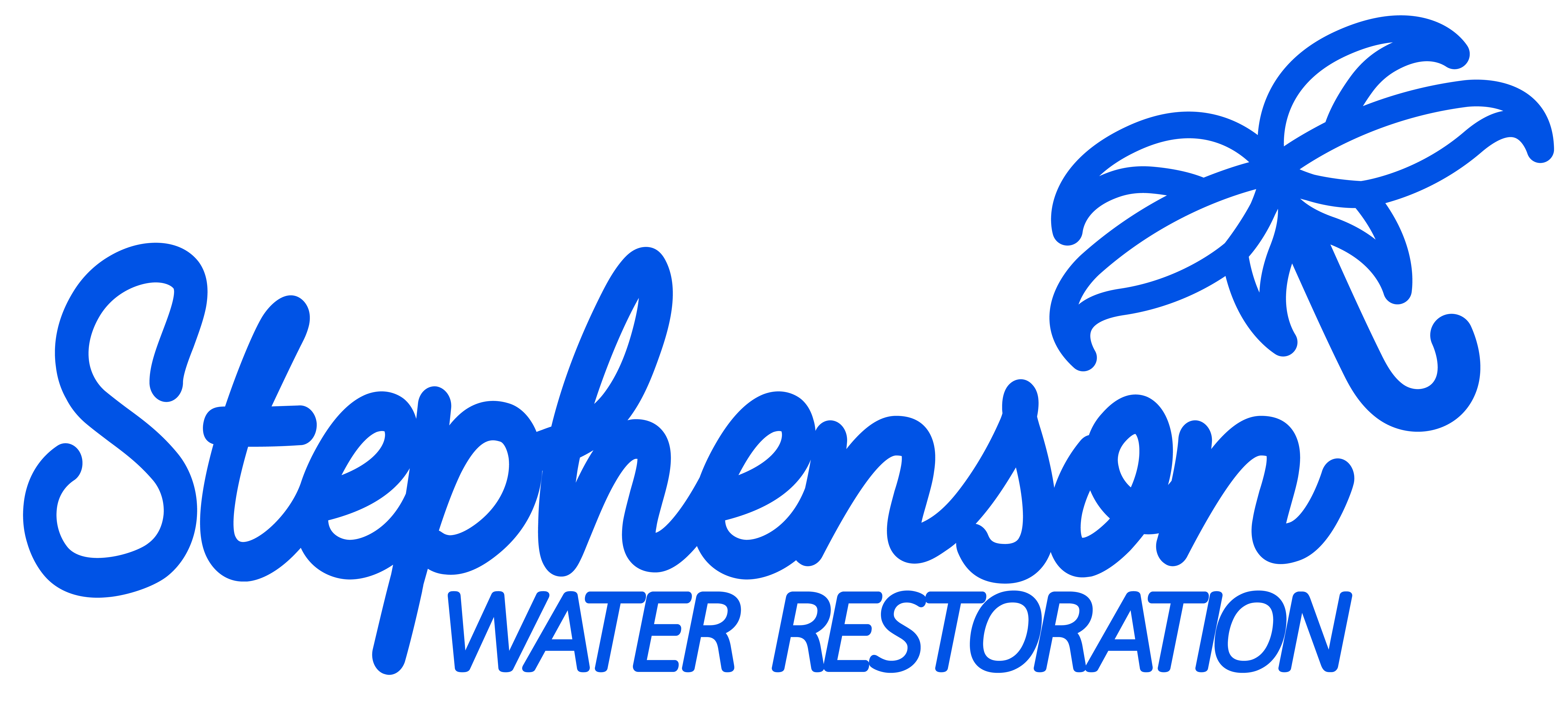 Blue Stephenson Water Restoration Logo & type